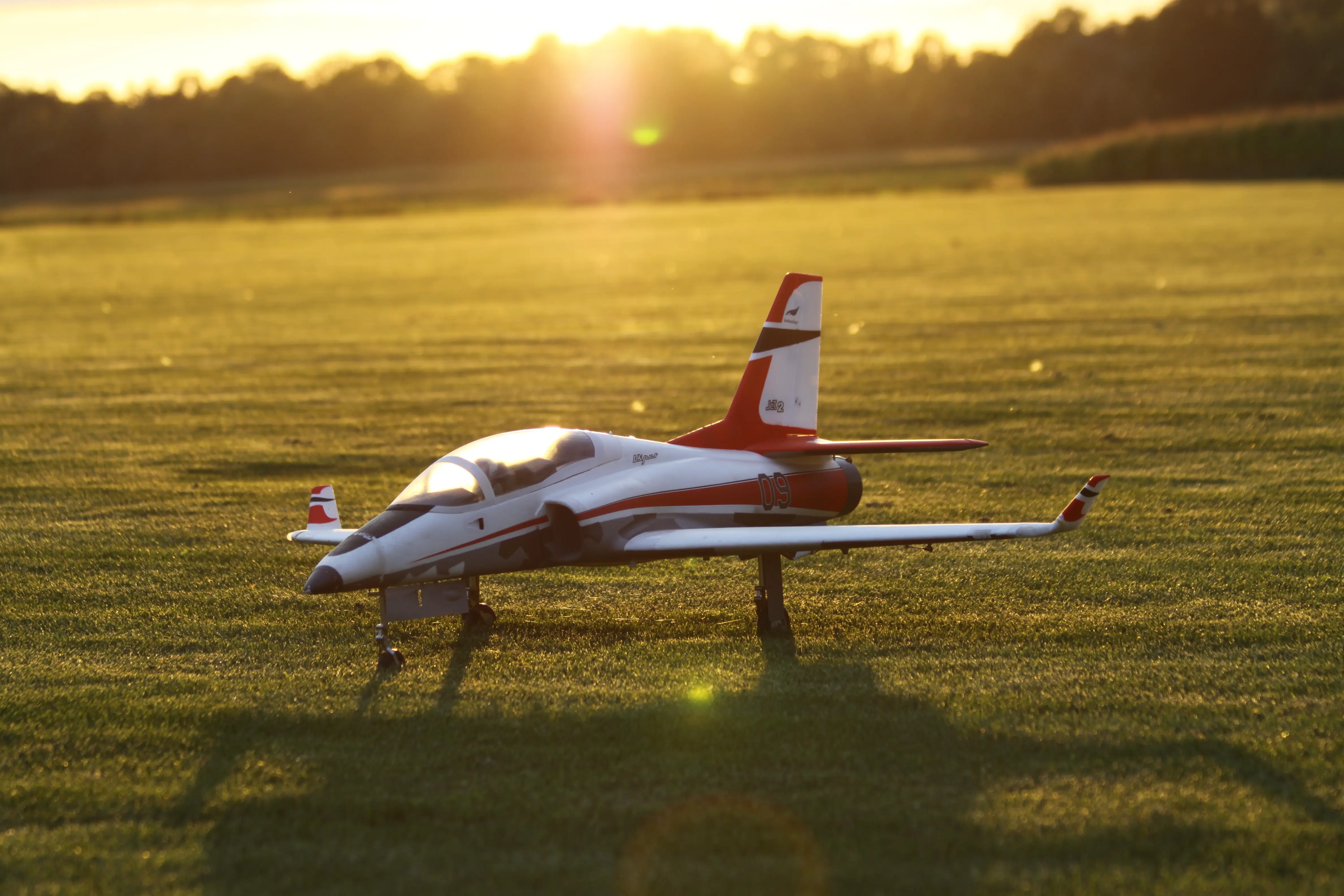 Viper Sonnenuntergang