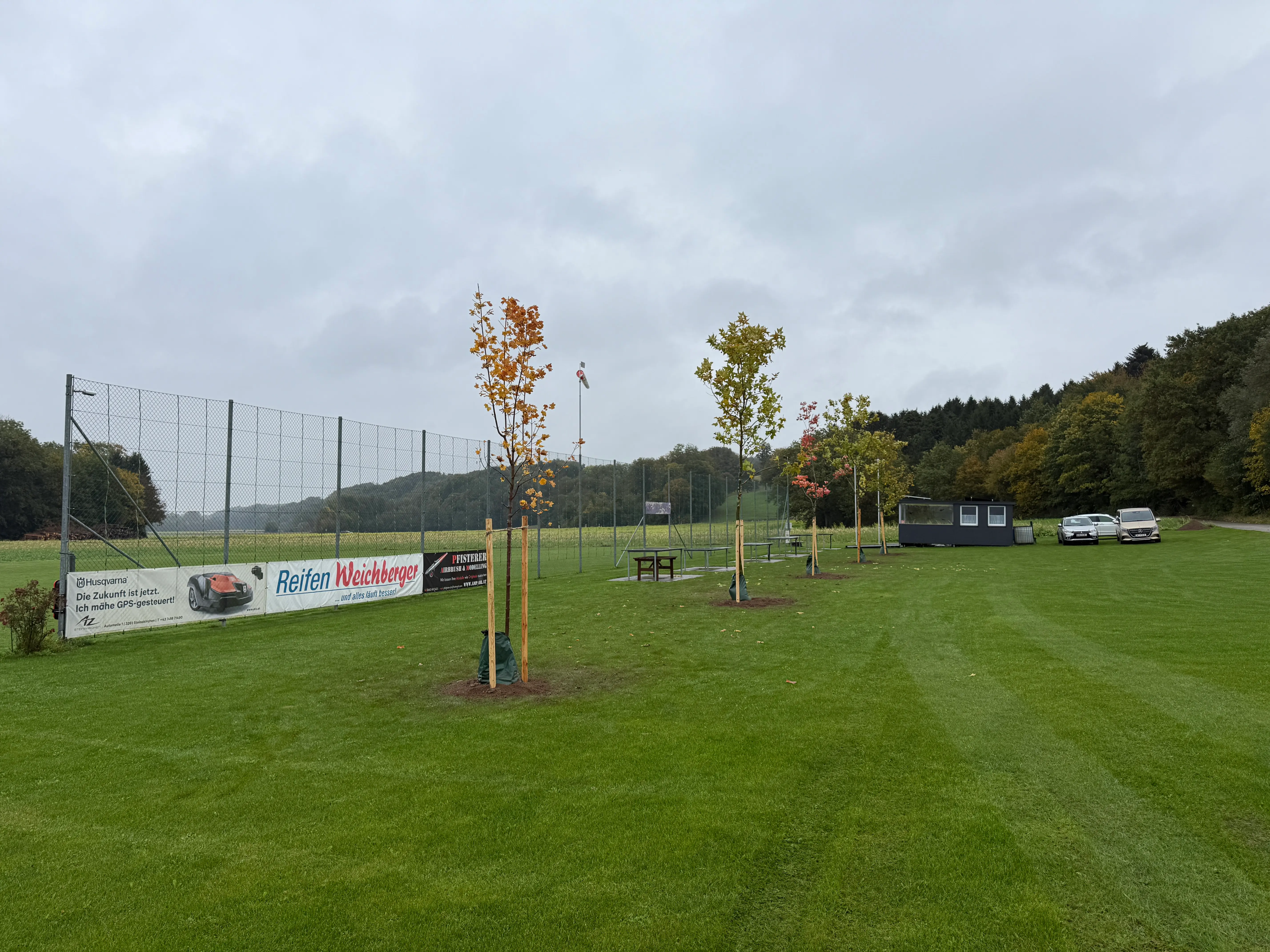 Bäume frisch gesetzt